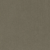 Bazzill Basics - 12 x 12 Cardstock - Grasscloth Texture - Fourz - Zinc