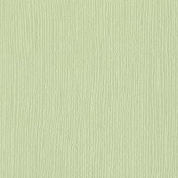 Bazzill Basics - 12 x 12 Cardstock - Canvas Texture - Mono - Aloe Vera