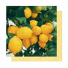American Crafts - It's All Good Collection - 12 x 12 Double Sided Paper - Lemon Drop