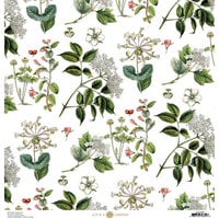 Anna Griffin - 12 x 12 Cardstock - Queen Anne's Lace - White