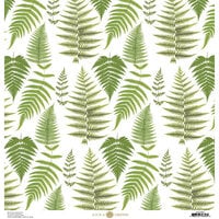 Anna Griffin - 12 x 12 Cardstock - Fern Botanical - White