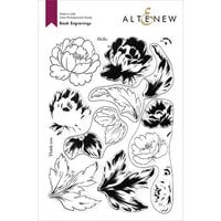 Altenew - Clear Photopolymer Stamps - Book Engravings
