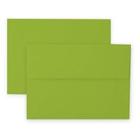 Altenew - Envelopes - Crafty Necessities - Parrot