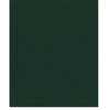Bazzill Basics - 8.5 x 11 Cardstock - Classic Texture - Holly