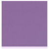 Bazzill Basics - Two Scoops Collection - 12 x 12 Sandable Cardstock - Black Raspberry