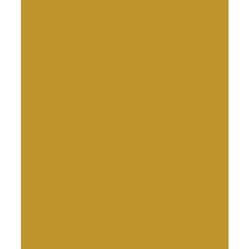Bazzill Basics - Card Shoppe - 8.5 x 11 Cardstock - Premium Smooth Texture - Gold Coins