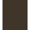 Bazzill Basics - Card Shoppe - 8.5 x 11 Cardstock - Premium Smooth Texture - Candy Bar