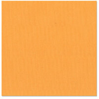 Bazzill Basics - 12 x 12 Cardstock - Canvas Bling Texture - Spoiled Brat