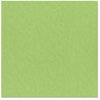 Bazzill Basics - 12 x 12 Cardstock - Canvas Bling Texture - Envy