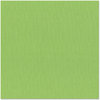 Bazzill Basics - 12 x 12 Cardstock - Canvas Texture - Bling - Bank Roll