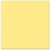 Bazzill - Prismatics - 12 x 12 Cardstock - Dimpled Texture - Frosted Yellow