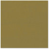 Bazzill Basics - Prismatics - 12 x 12 Cardstock - Dimpled Texture - Spring Willow Dark