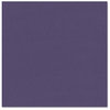 Bazzill - Prismatics - 12 x 12 Cardstock - Dimpled Texture - Majestic Purple Dark