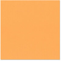Bazzill Basics - 12 x 12 Cardstock - Orange Peel Texture - Creamsicle