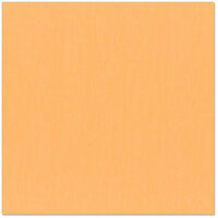 Bazzill Basics - 12 x 12 Cardstock - Grasscloth Texture - Mango