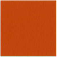 Bazzill - 12 x 12 Cardstock - Canvas Texture - Saltillo
