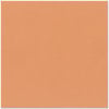 Bazzill Basics - 12 x 12 Cardstock - Canvas Texture - Cantaloupe