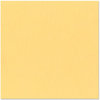 Bazzill - 12 x 12 Cardstock - Canvas Texture - Glow