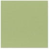 Bazzill Basics - 12 x 12 Cardstock - Grasscloth Texture - Lily Pond
