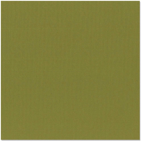 Bazzill - 12 x 12 Cardstock - Canvas Texture - Saguaro