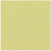 Bazzill Basics - 12 x 12 Cardstock - Canvas Texture - Pear