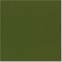 Bazzill Basics - 12 x 12 Cardstock - Canvas Texture - Mono - Ivy