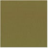 Bazzill - 12 x 12 Cardstock - Grasscloth Texture - Palo Verde