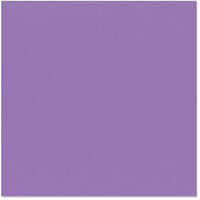 Bazzill Basics - 12 x 12 Cardstock - Grasscloth Texture - Purple Pizzazz