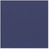 Bazzill Basics - 12 x 12 Cardstock - Canvas Texture - Admiral