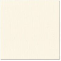 Bazzill Basics - 12 x 12 Cardstock - Grasscloth Texture - Fourz - French Vanilla