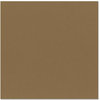 Bazzill - 12 x 12 Cardstock - Smooth Texture - Carob Cream