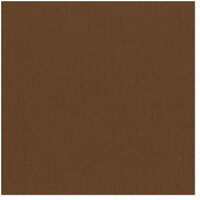 Bazzill Basics - 12 x 12 Cardstock - Canvas Texture - Pinecone