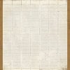 BasicGrey - Basic Manila Collection - 12 x 12 Paper - Brief, CLEARANCE