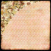 BasicGrey - Curio Collection - 12 x 12 Double Sided Paper - Camelia
