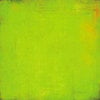 BasicGrey - Lime Rickey Collection - 12x12 Paper - Fuzzy Navel