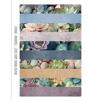 Brutus Monroe - Succulent And Cactus Collection - Washi Tape - Terrarium