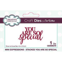 Creative Expressions - Craft Dies - Mini Expressions - You Are So Special