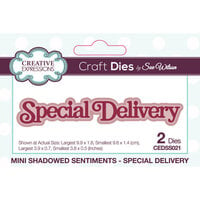 Creative Expressions - Craft Dies - Mini Shadowed Sentiments - Special Delivery
