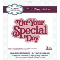 Creative Expressions - Craft Dies - Shadowed Sentiments - On Your Special Day