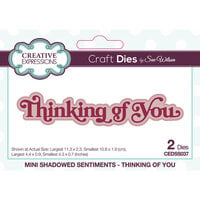 Creative Expressions - Mini Shadowed Sentiments Collection - Craft Dies - Thinking of You
