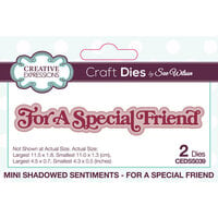 Creative Expressions - Mini Shadowed Sentiments Collection - Craft Dies - For A Special Friend