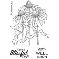 Woodware - Clear Photopolymer Stamps - Echinacea