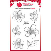 Woodware - Clear Photopolymer Stamps - Summer Picks