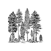 The Crafter's Workshop - 6 x 6 Stencils - Majestic Forest