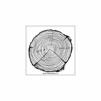 Concord and 9th - Clear Photopolymer Stamps - Tree Ring