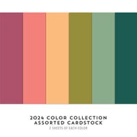 Concord and 9th - 8.5 x 11 Cardstock - Assorted Color Pack - 2024 Color Collection