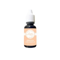 Catherine Pooler Designs - Party Collection - Premium Dye Ink Refill - Creamsicle
