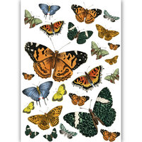 Dress My Craft - Transfer Me - Vintage Butterflies