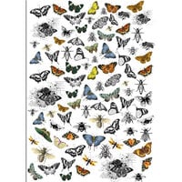 Dress My Craft - Transfer Me - Mini Vintage Butterflies