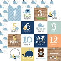Echo Park - Baby Boy Collection - 12 x 12 Double Sided Paper - Milestone Cards